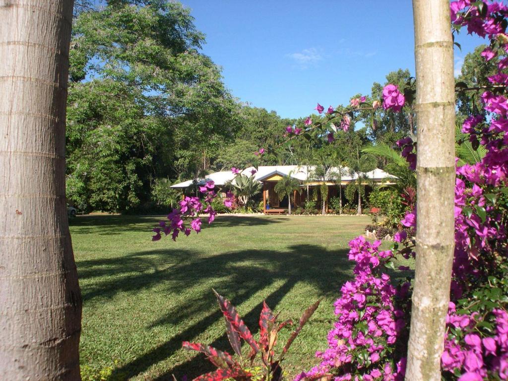 Hibiscus Lodge Bed & Breakfast Wongaling Beach Dış mekan fotoğraf