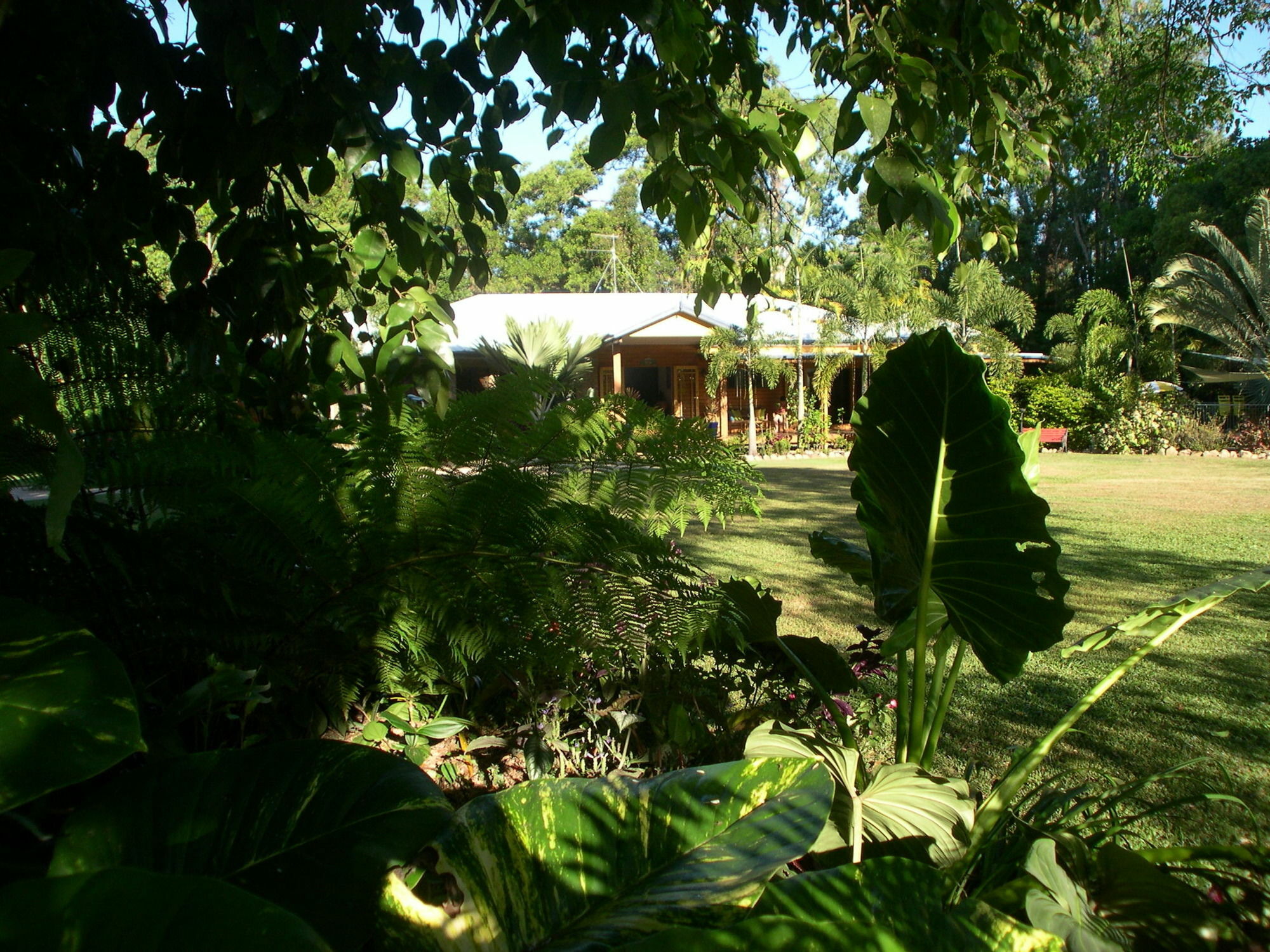 Hibiscus Lodge Bed & Breakfast Wongaling Beach Dış mekan fotoğraf